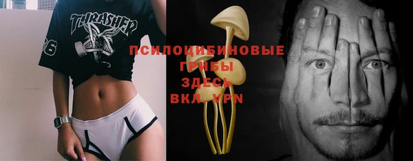 кокс Дмитриев