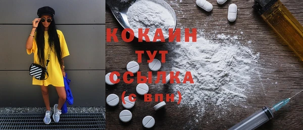 кокс Дмитриев